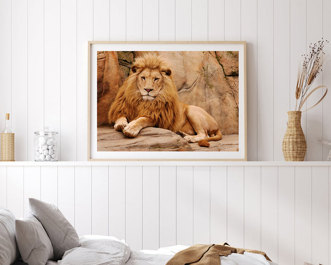 Stolzer Löwe Main Image