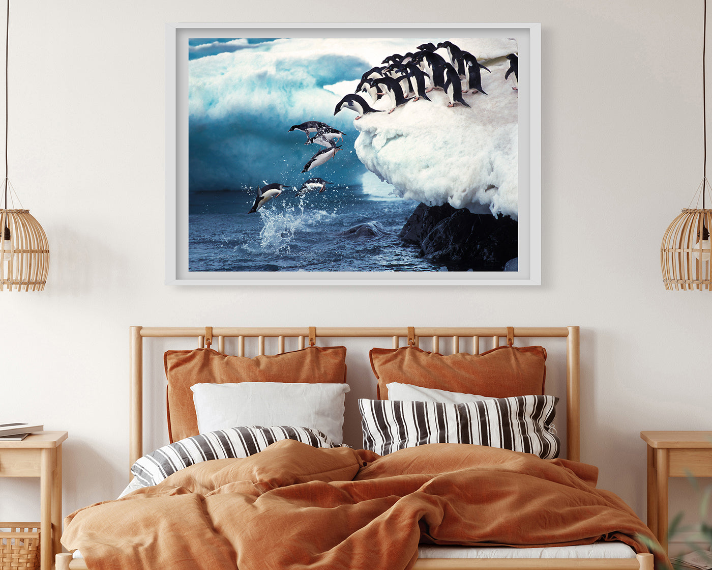 Pingune springen ins Wasser