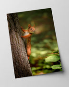 Eichhörnchen am Baum