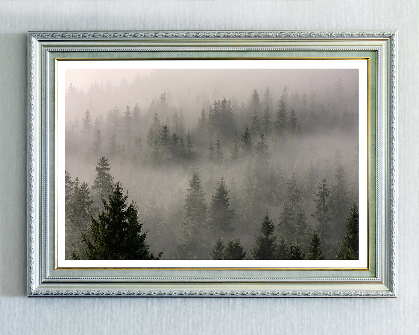 Wald im Nebel