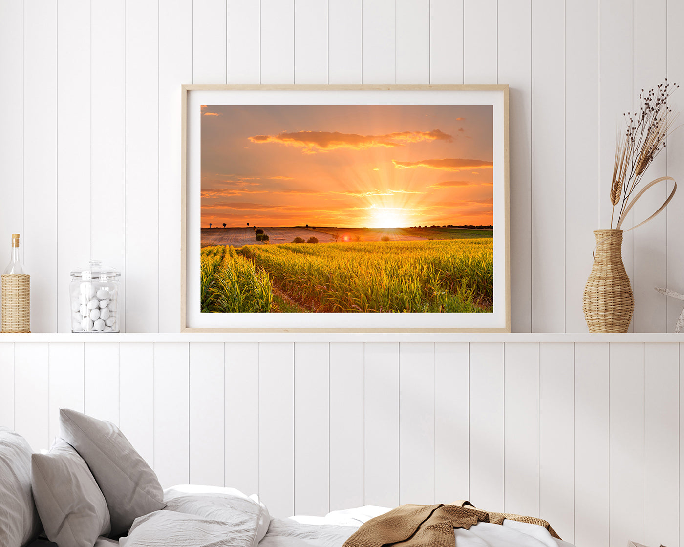 Sonnenuntergang am Feld