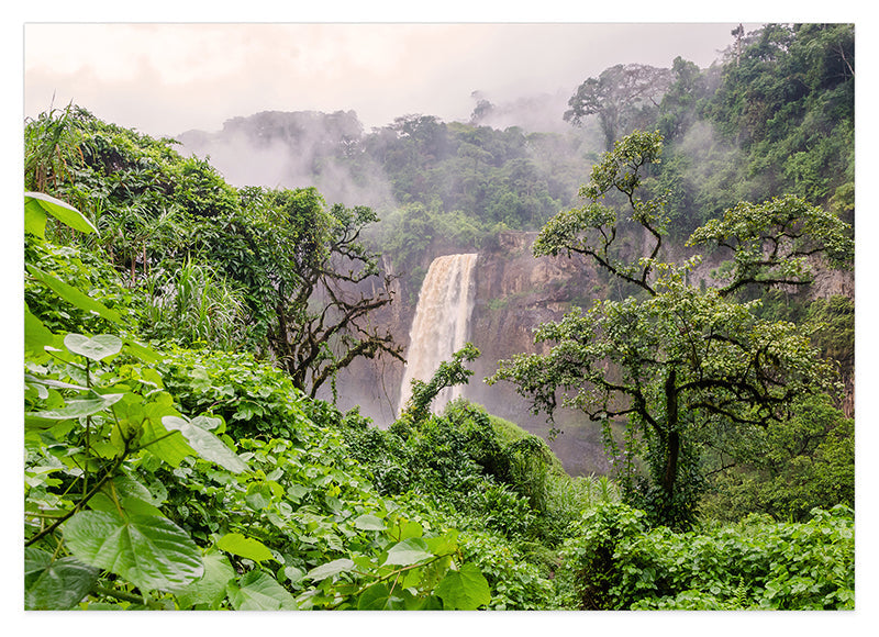Asiatischer Regenwald