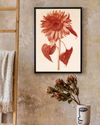 Blumenzeichnung - Sonnenblume