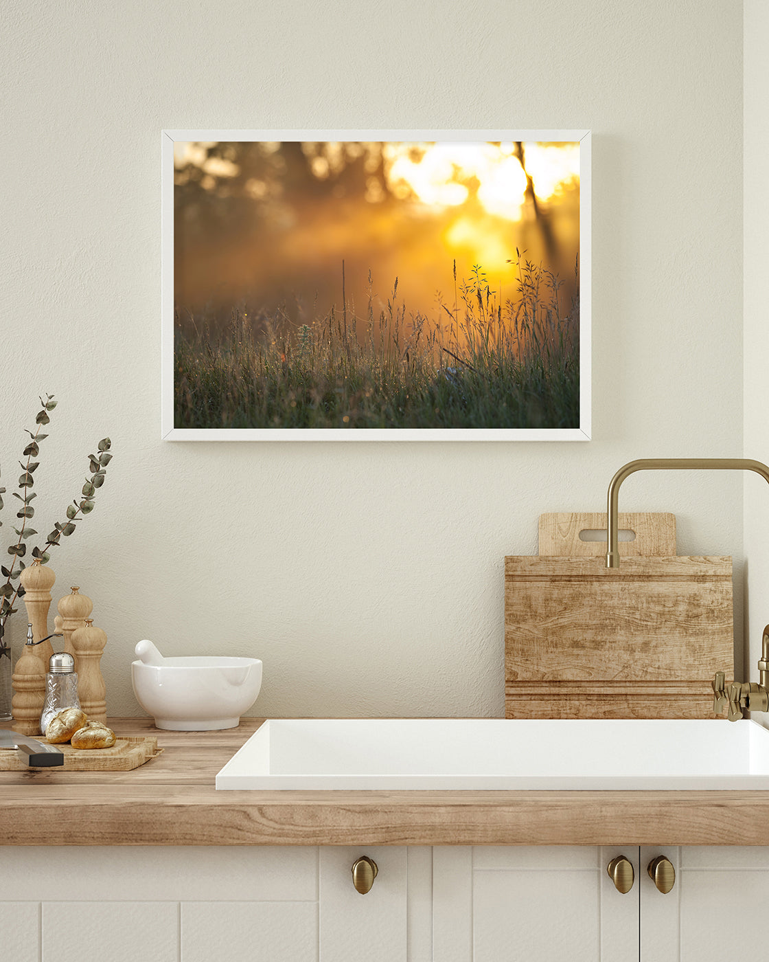 Sonnenstrahlen auf einer Wiese