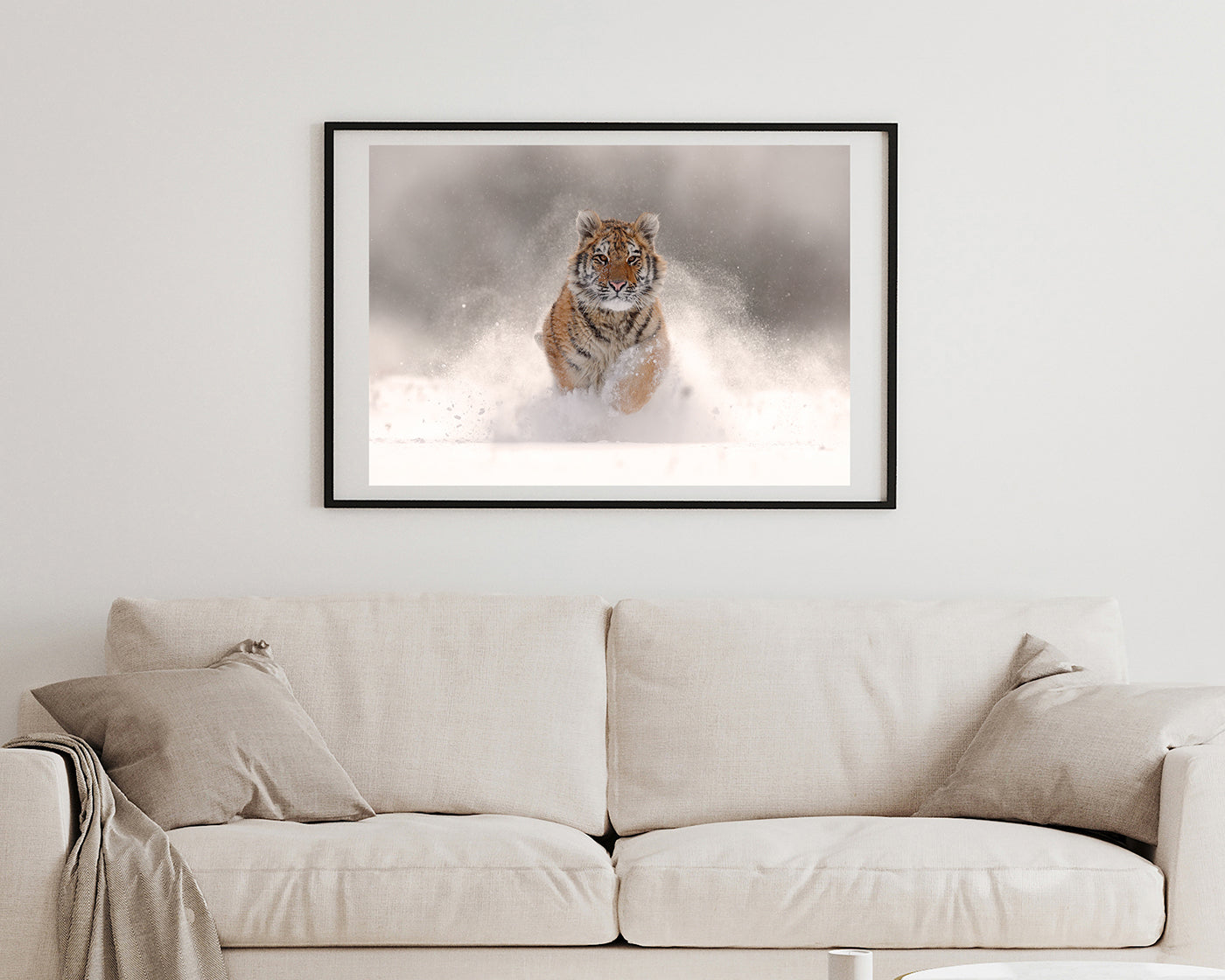 Springender Tiger im Schnee