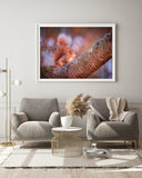 Eichhörnchen auf einem Ast