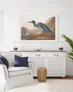 John James Audubon - Wasservögel am See