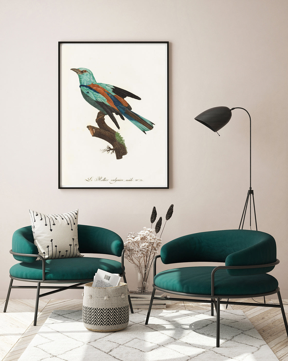 François Levaillant - Bunter Paradiesvogel