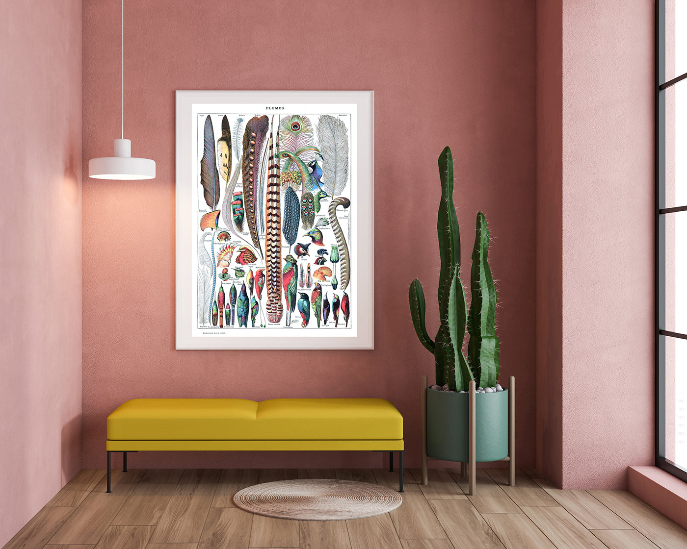 Adolphe Philippe Millot - Federn