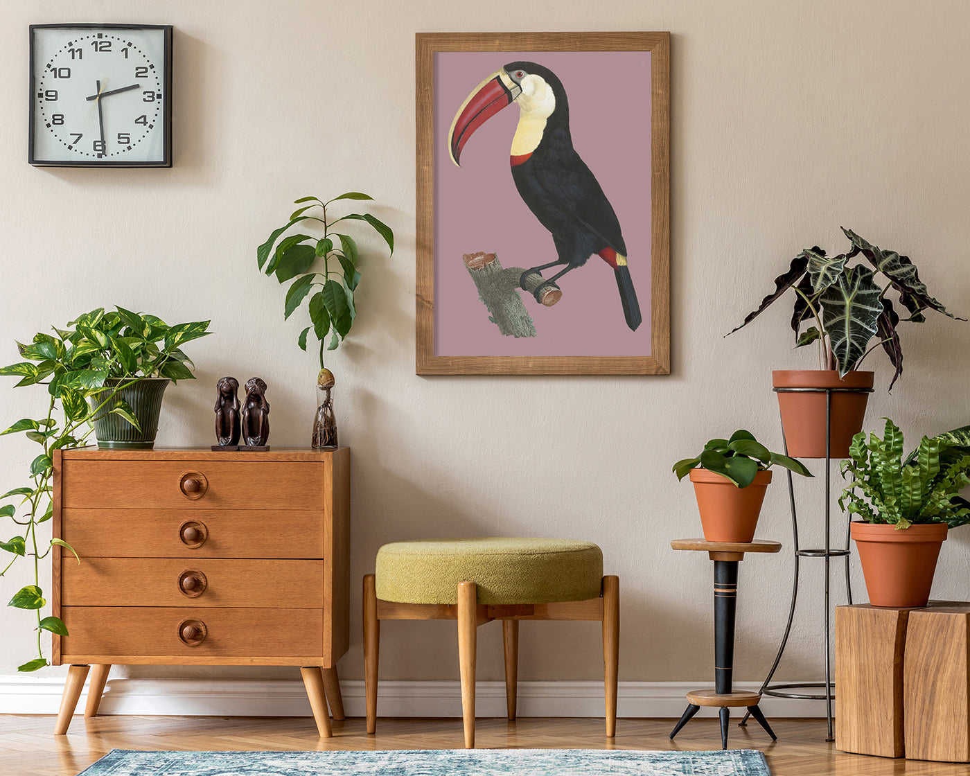 François Levaillant - Tukan auf lila Hintergrund