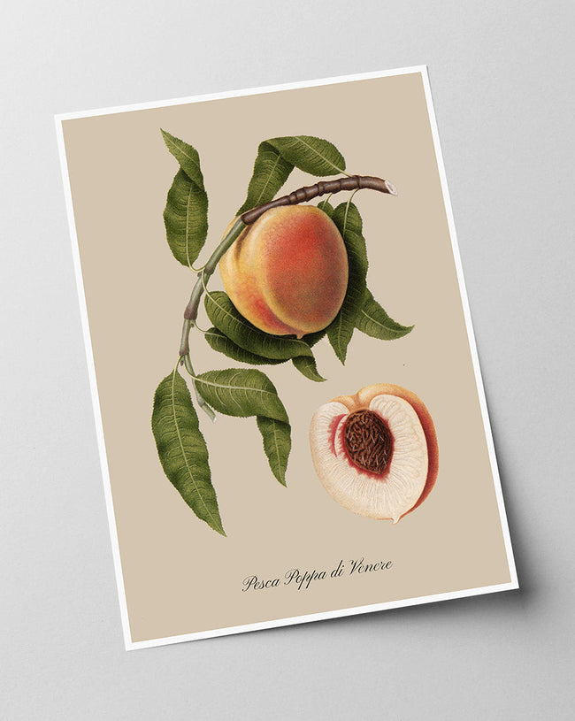 Pfirisch am Zweig Main Image