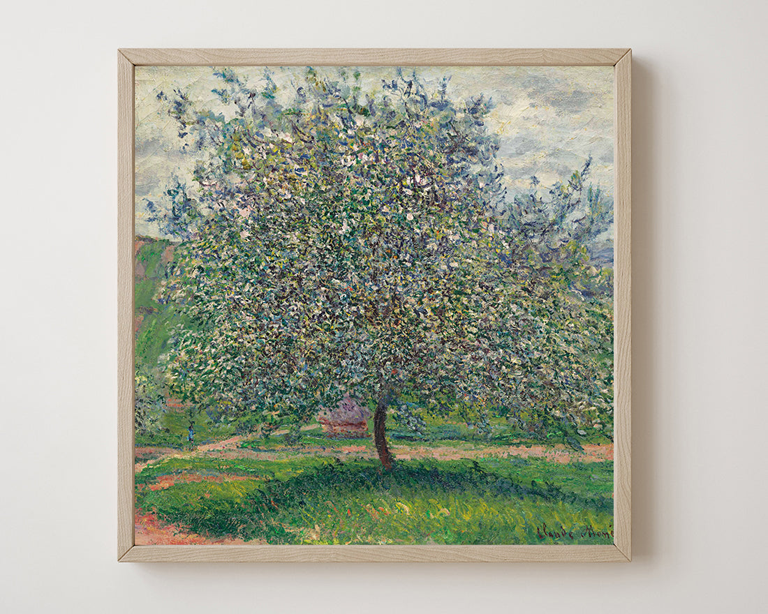 Claude Monet - Apfelbaum