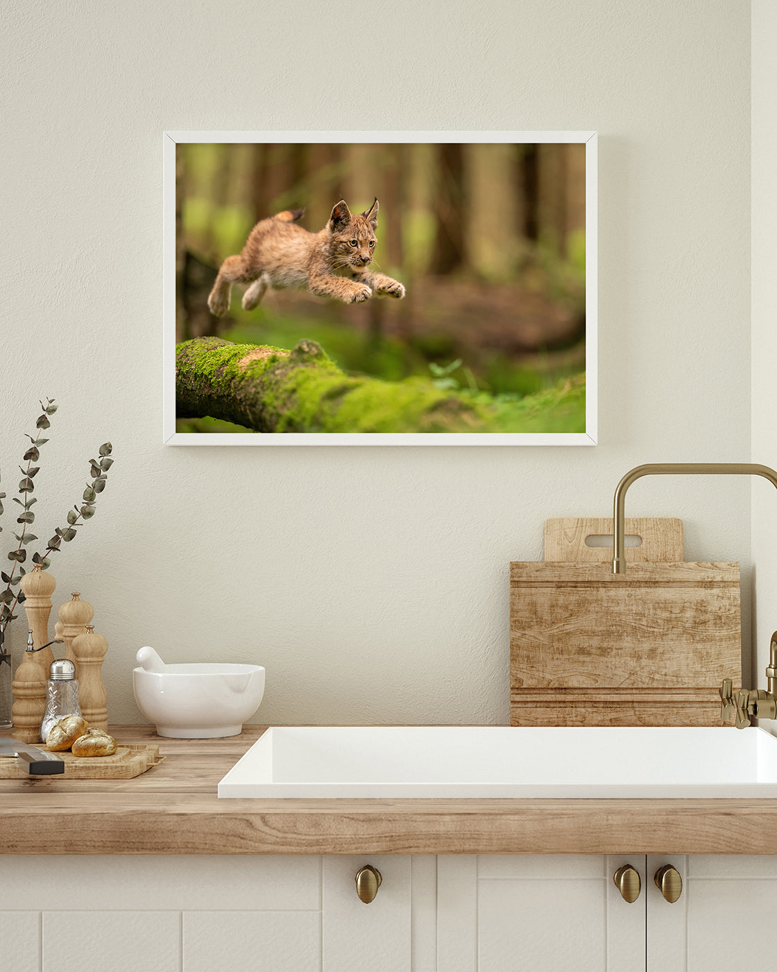 Springendes Luchs-Baby