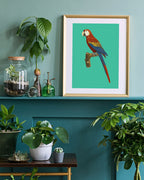 François Levaillant - Ara auf türkisem Hintergrund