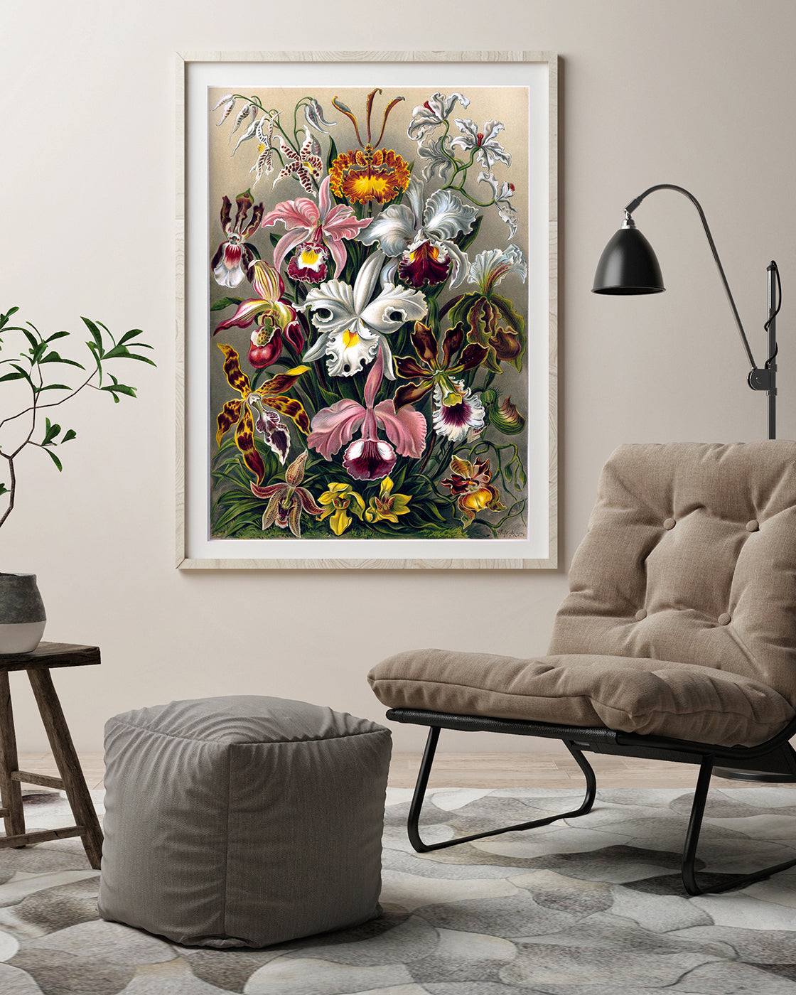 Ernst Haeckel - Blumen