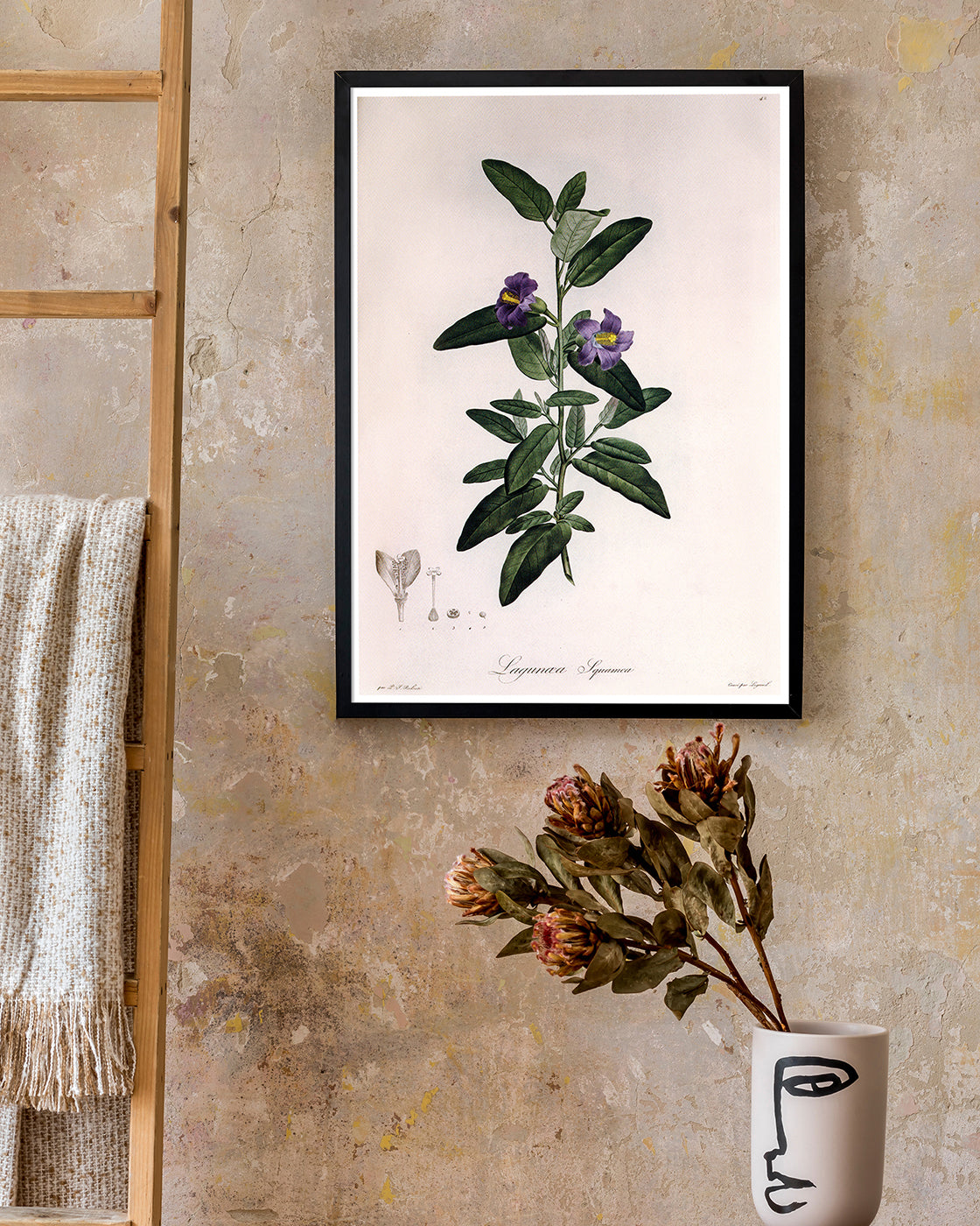 Pflanze mit lila Blüten