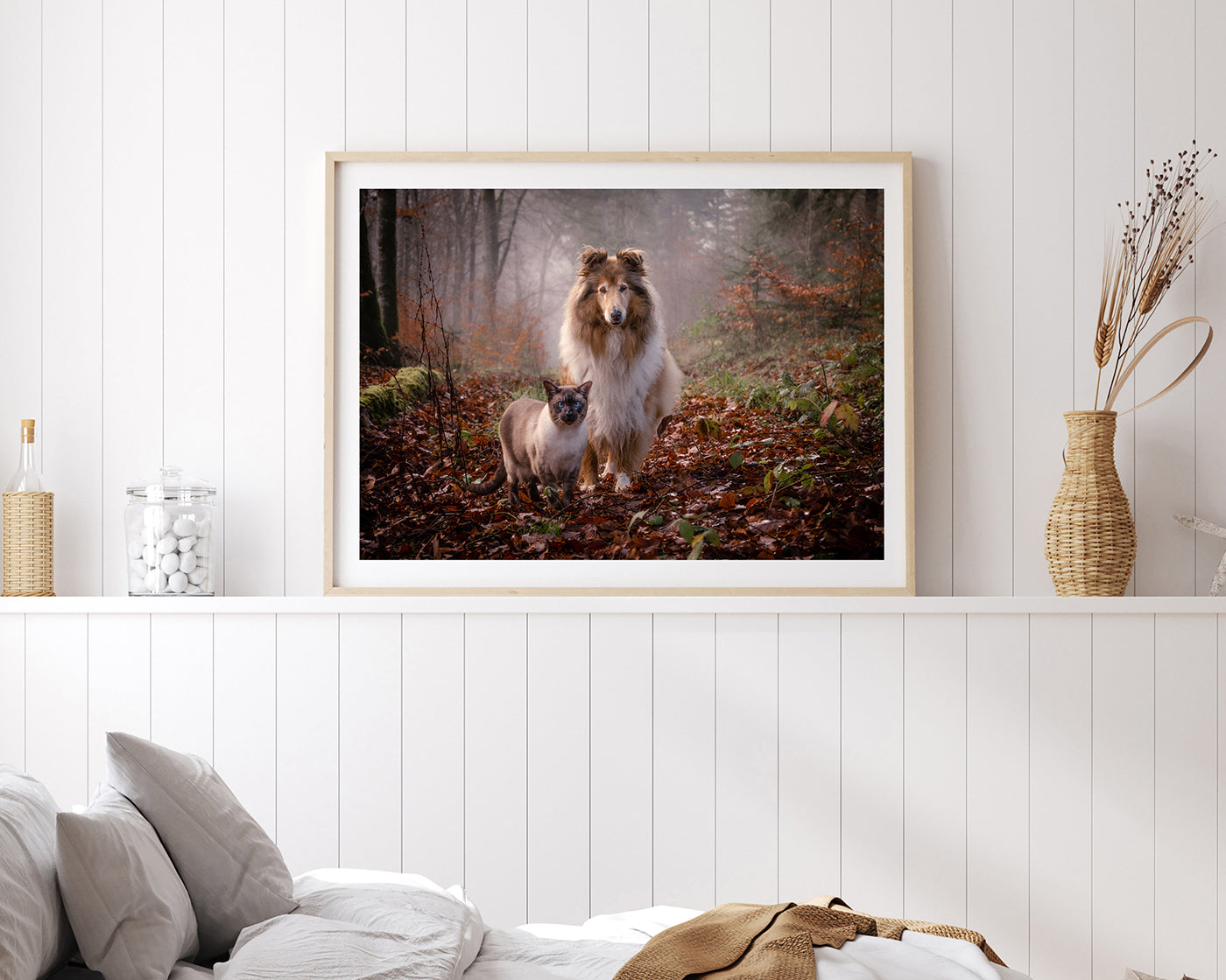 Katze und Hund in der Natur