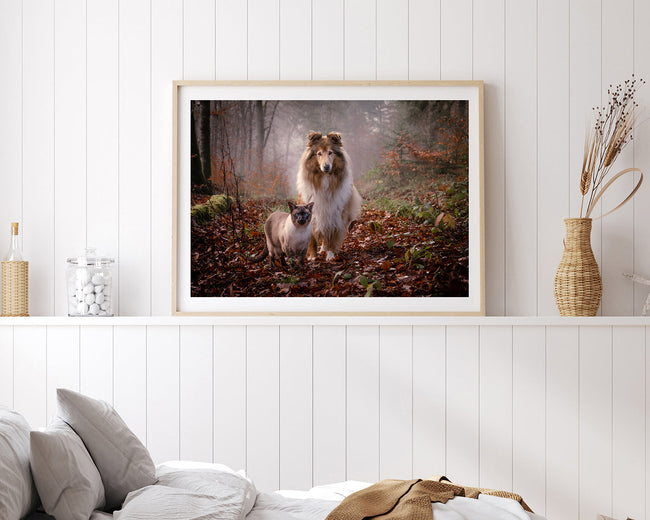 Katze und Hund in der Natur Main Image