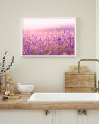 Flieder - Nahaufnahme