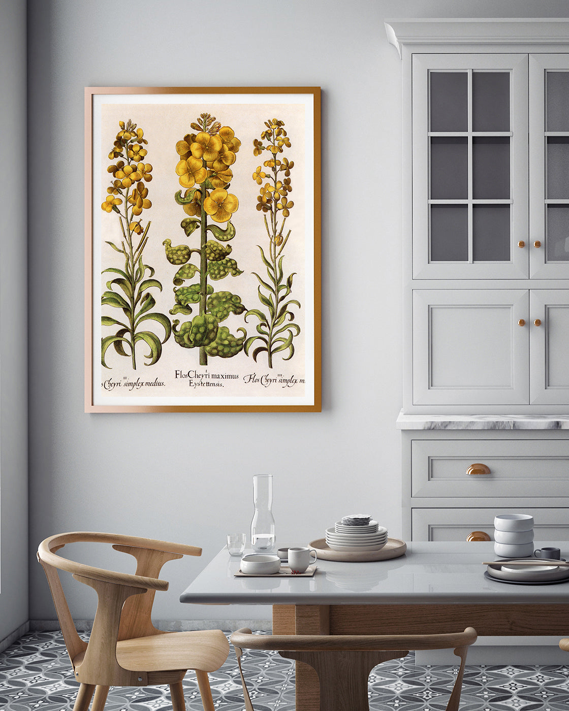 Flos Cheyri maximus Eystettensis