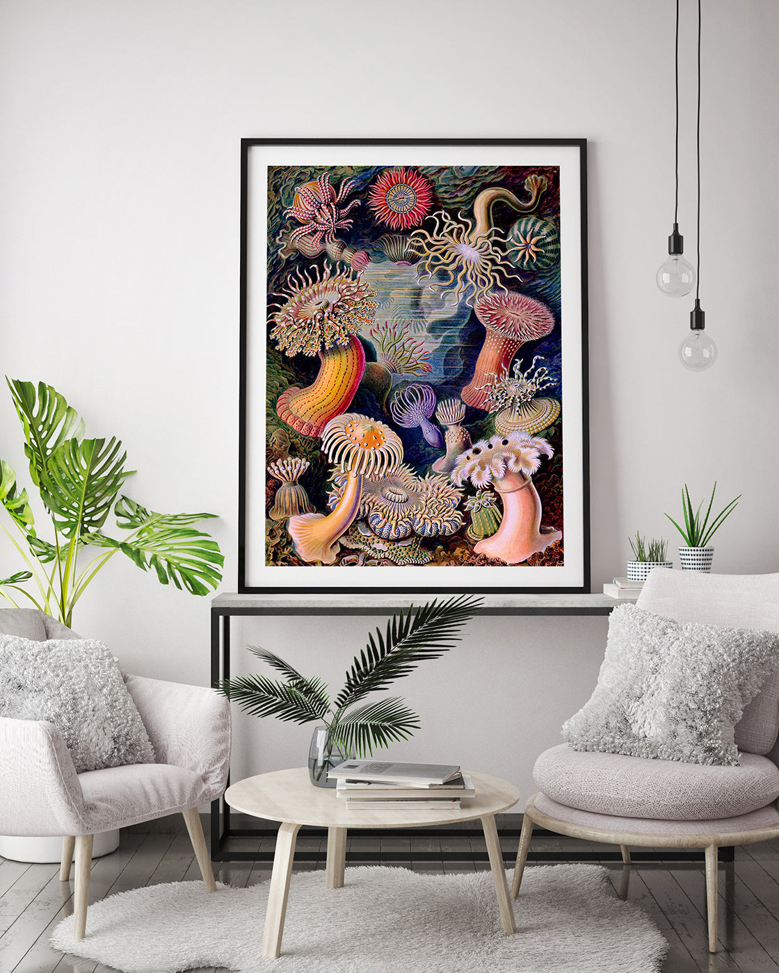 Ernst Haeckel - Anemonen