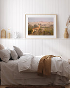 Afrikanische Springbock Antilope