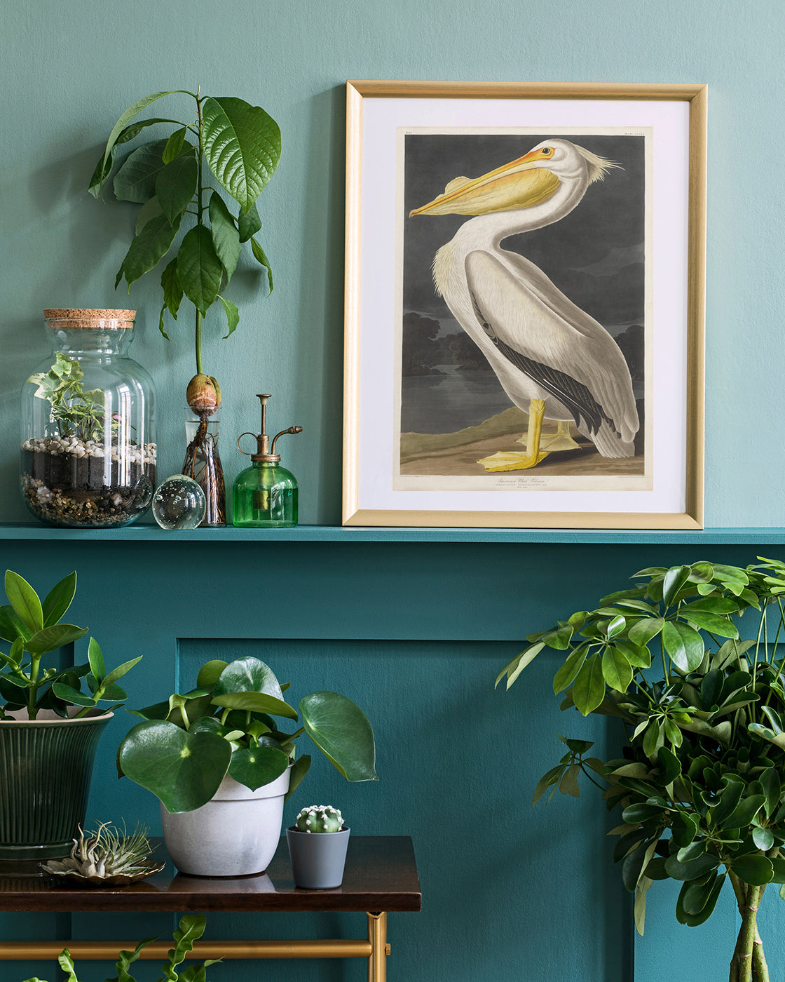 John James Audubon - Pelikan