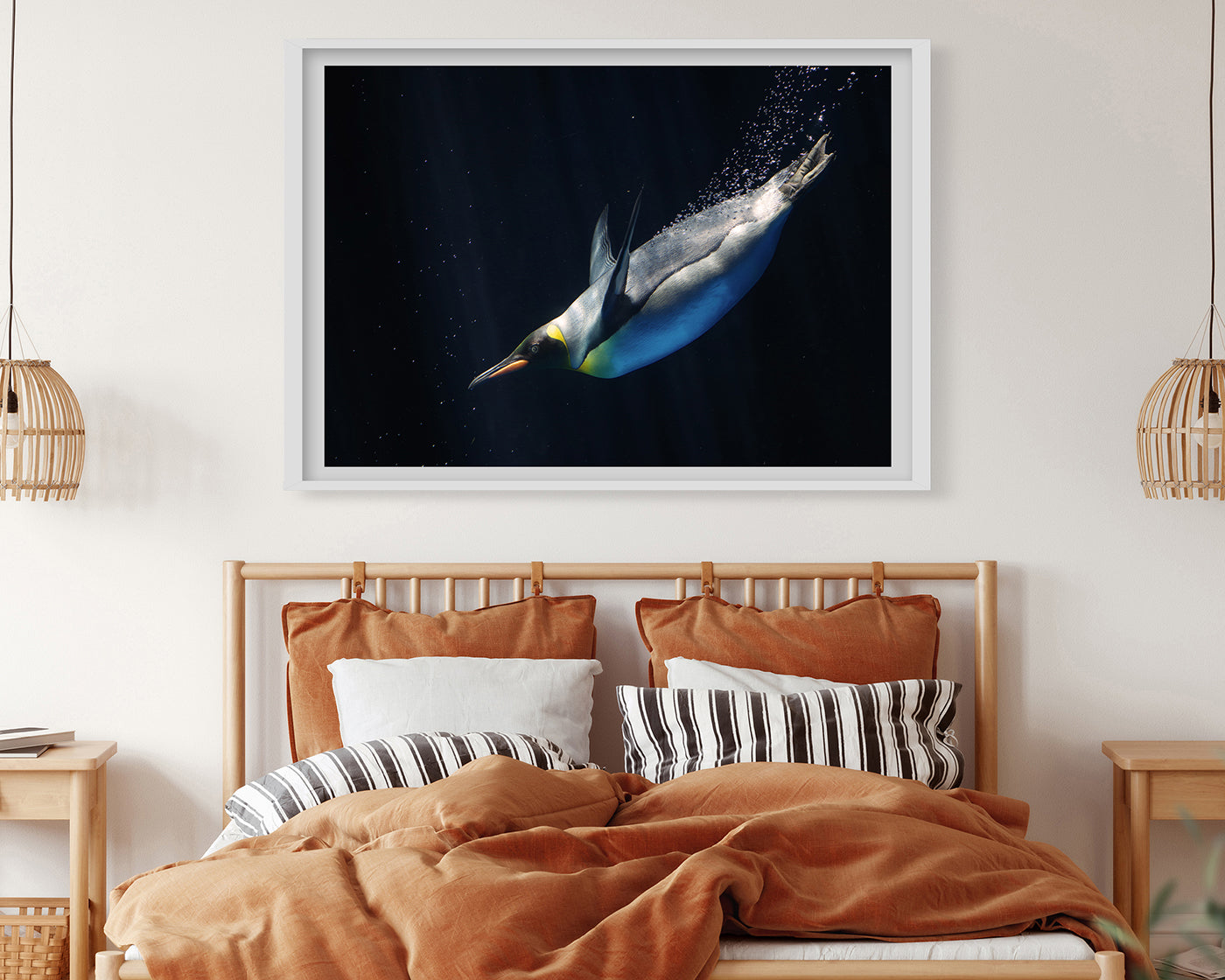 Schwimmender Pinguin