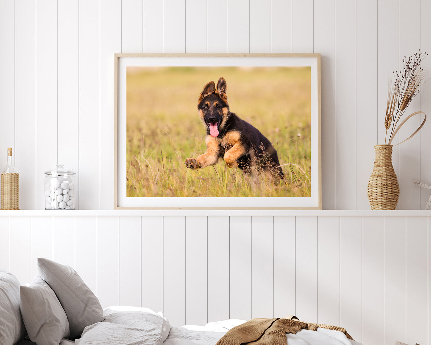 Süßer Schäferhund-Welpe