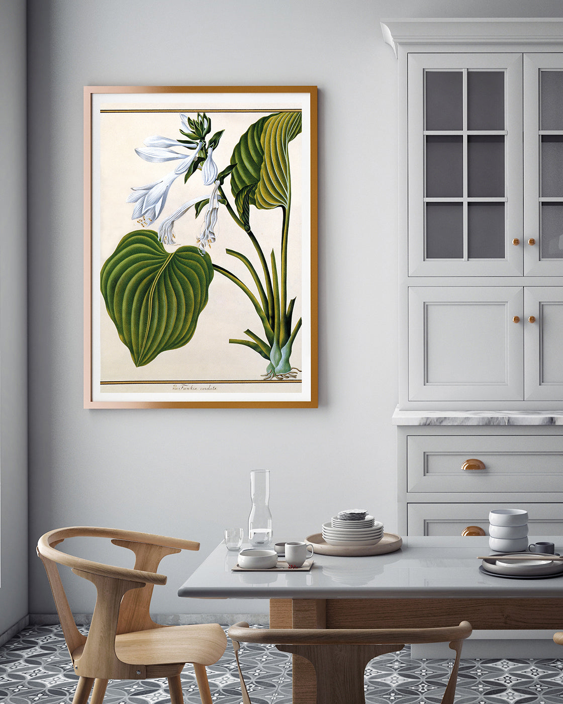 Funkia Cordata - Weiße Funkie