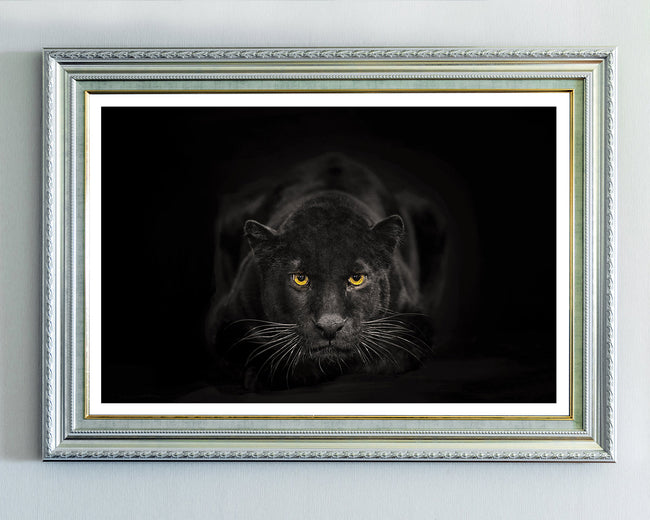 Schwarzer Panther auf schwarzem Hintergrund Main Image