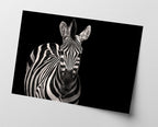 Zebra auf schwarzem Hintergrund