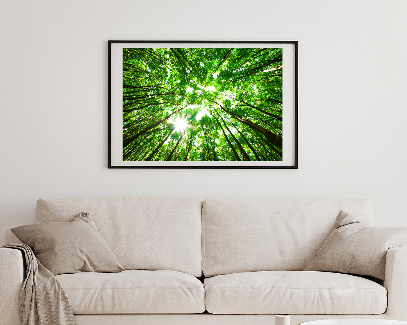 Baumkronen von unten