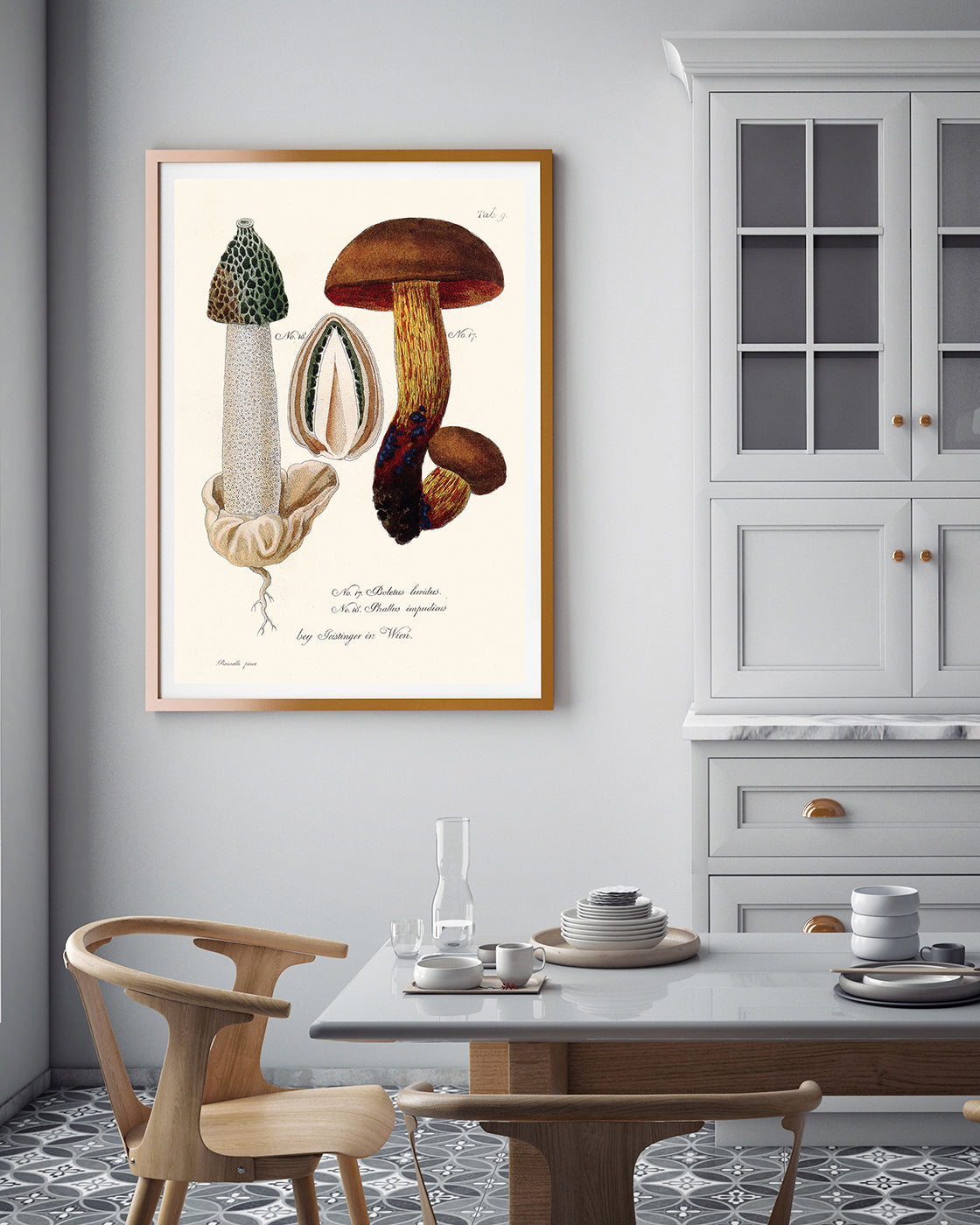 Pilzstudie: Netzstieliger Hexen-Röhrling und Gemeine Stinkmorchel