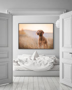 Jagdhund in der Natur