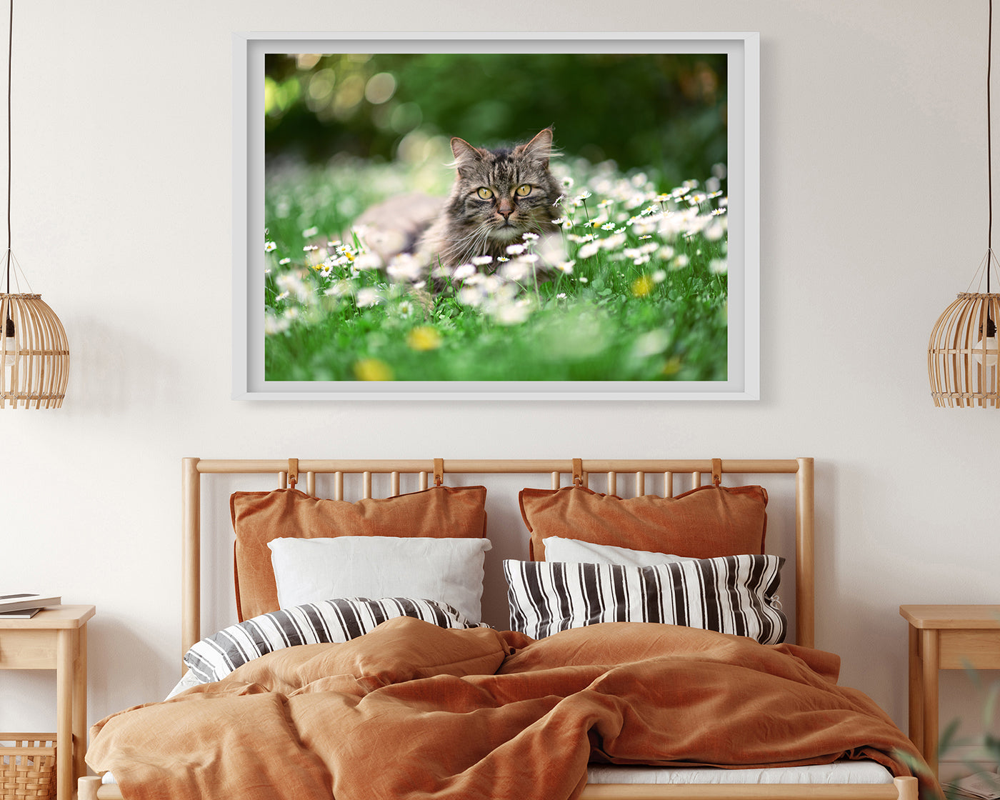 Katze in Blumenwiese