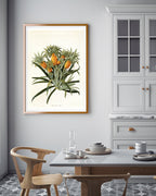 Ananas am Ananasbaum