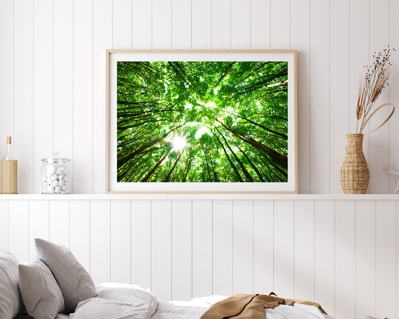 Baumkronen von unten