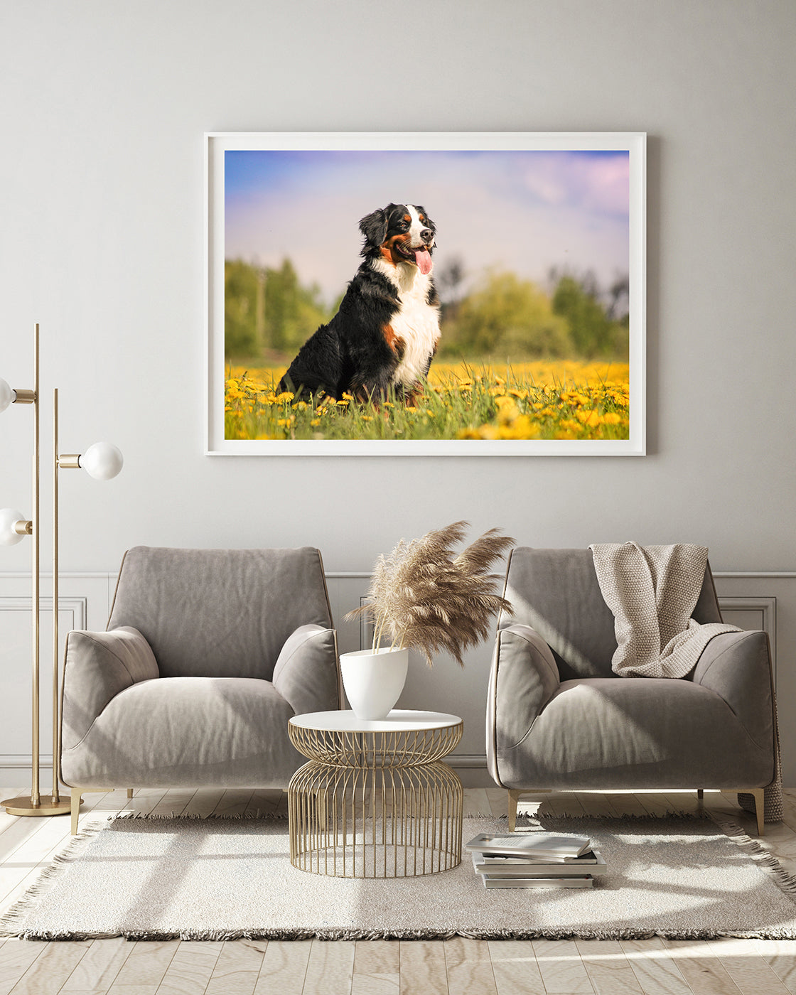 Bernersennen-Hund in Blumenwiese