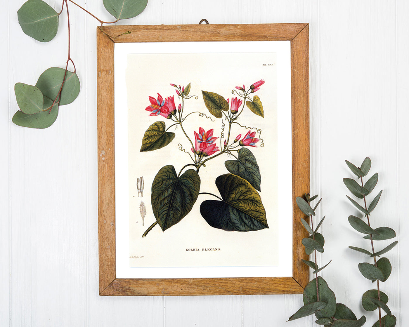 Zweig mit roten Blüten