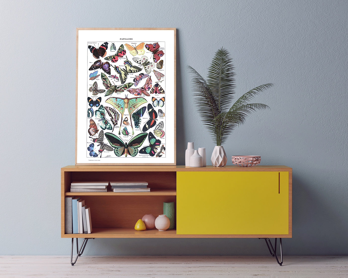 Adolphe Philippe Millot - Schmetterlinge