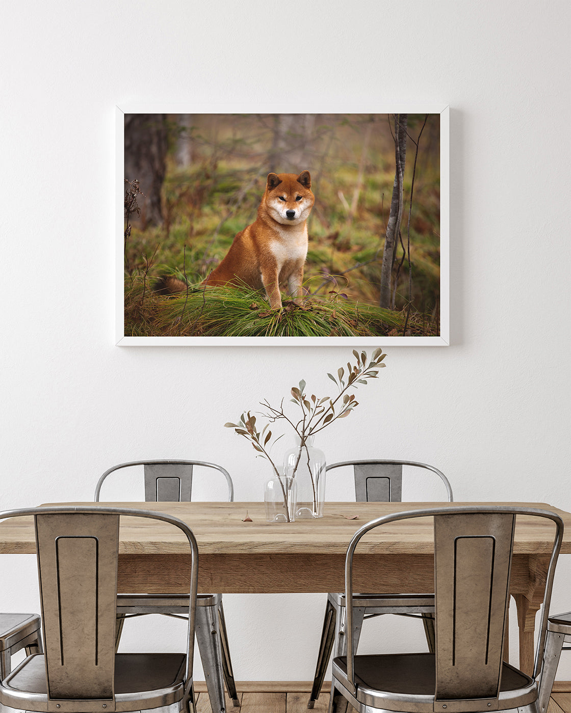 Shiba Inu im Wald