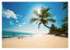 Strand mit Palmen