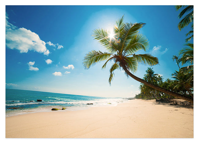 Strand mit Palmen Hover Image