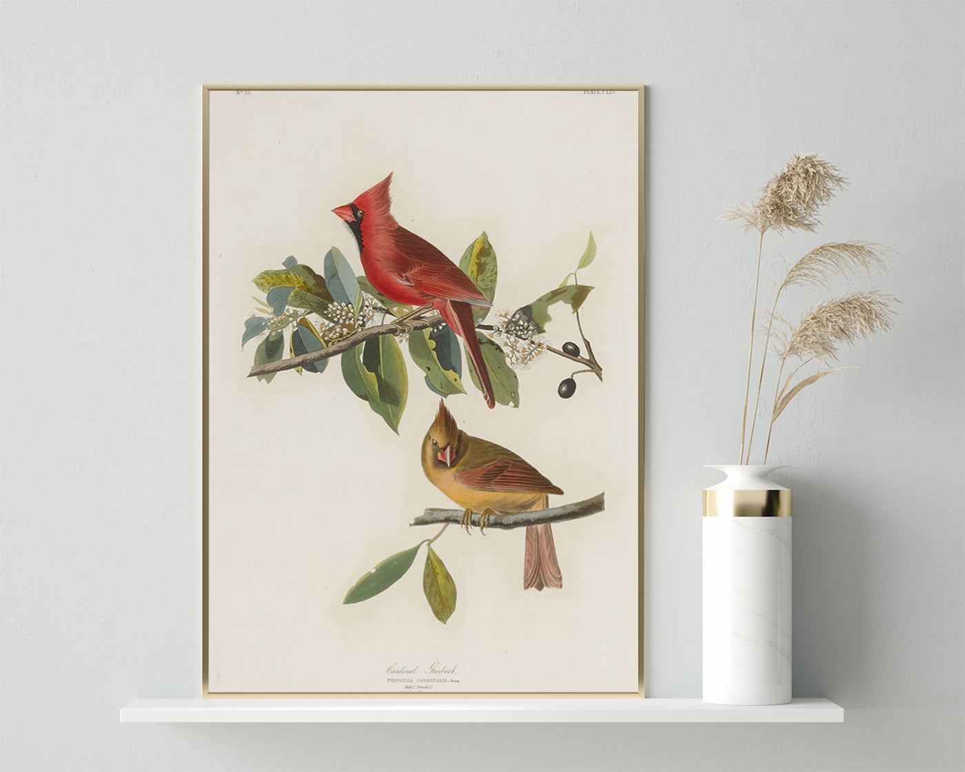 John James Audubon - Bunte Vögel auf Ästen