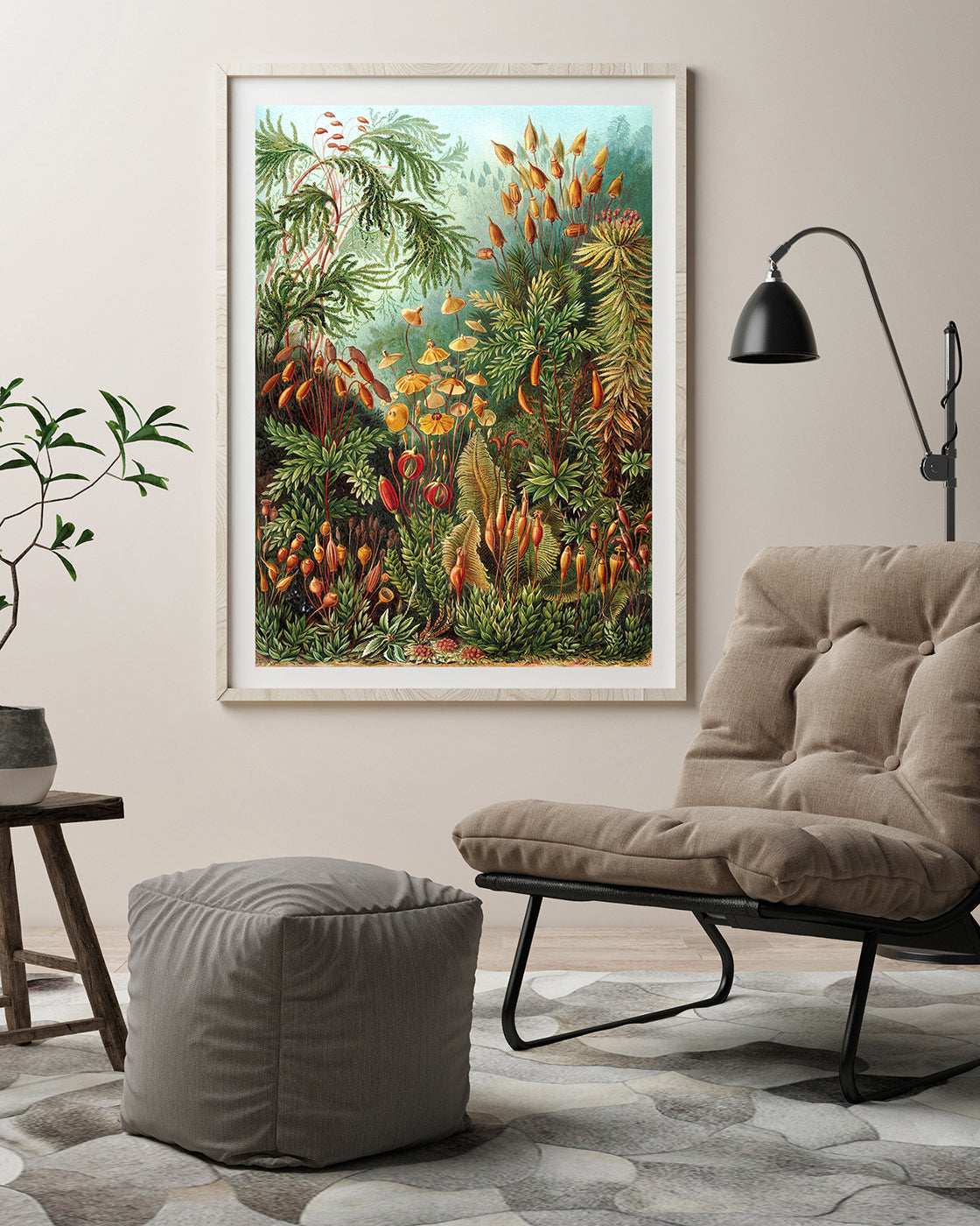 Ernst Haeckel - Botanik