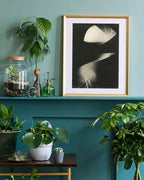 László Moholy Nagy - Schwarz-Weiß Fotografie - Formen