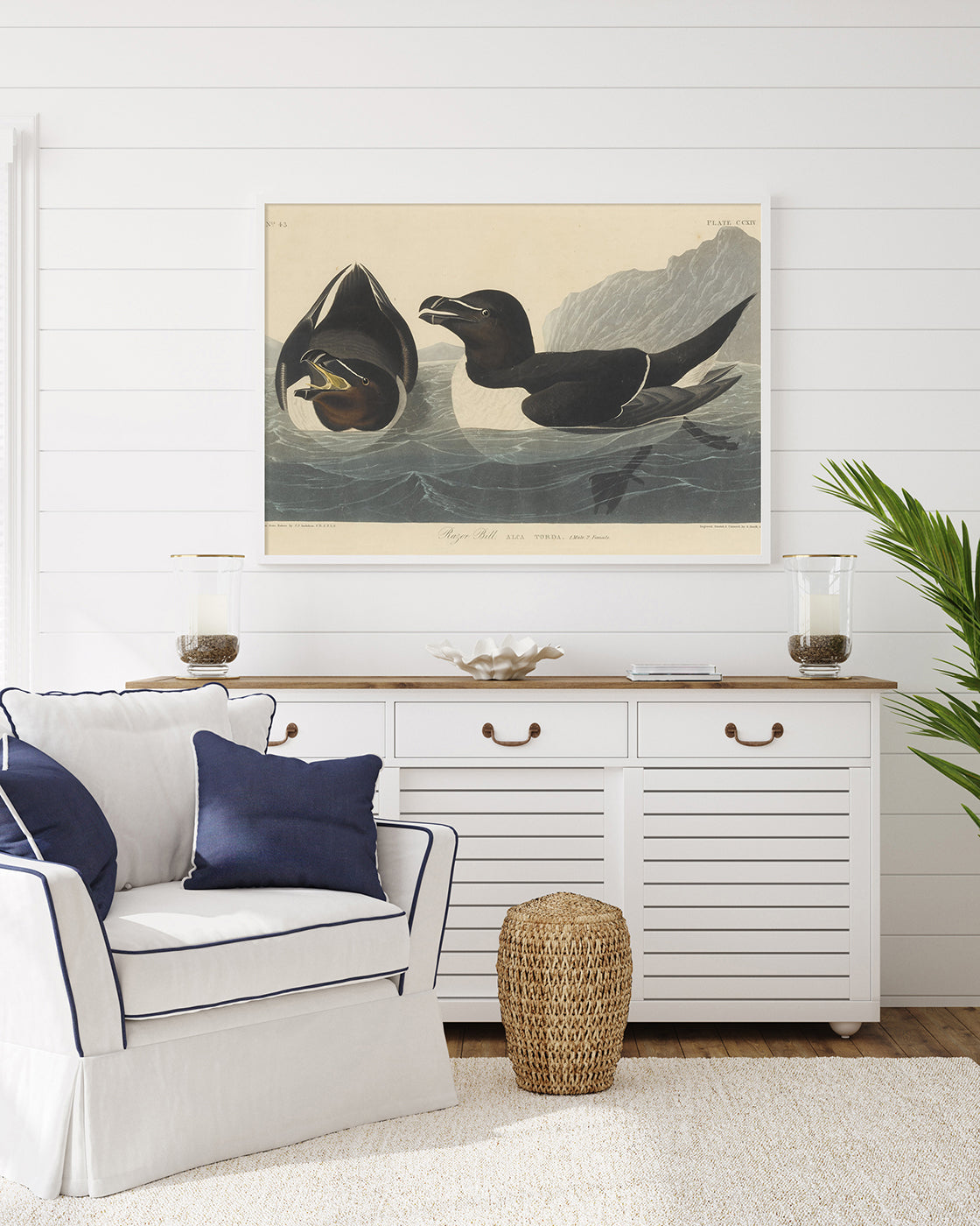 John James Audubon - Zwei Enten im Wasser