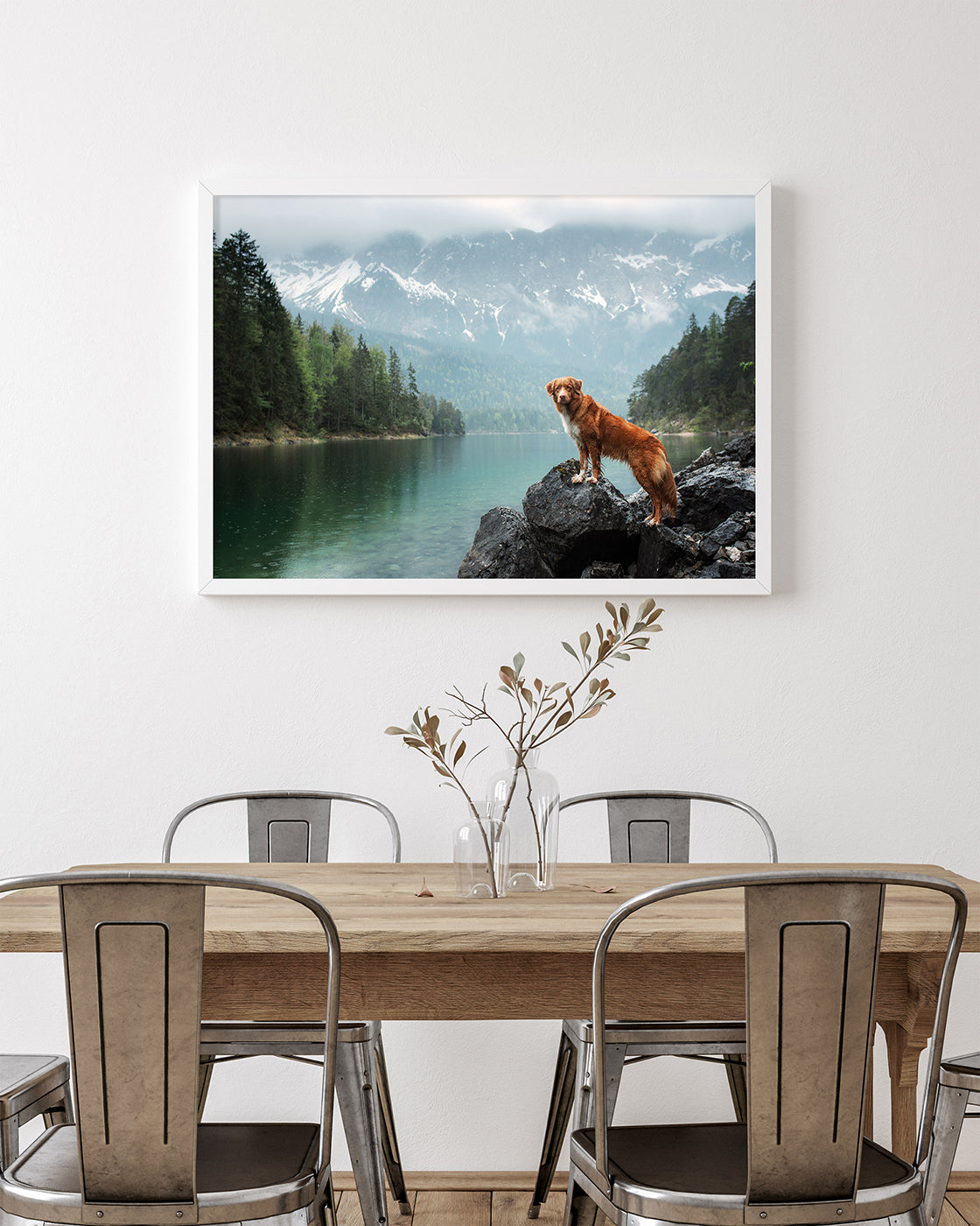 Hund in Berglandschaft