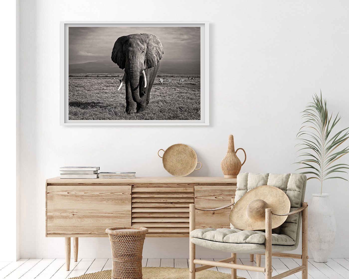 Elefant in Schwarz-Weiß